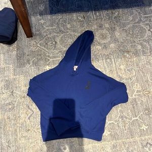 blue juicy hoddie